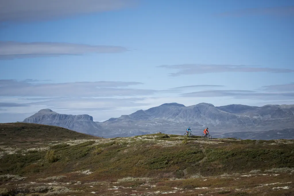 Sykling i Ål