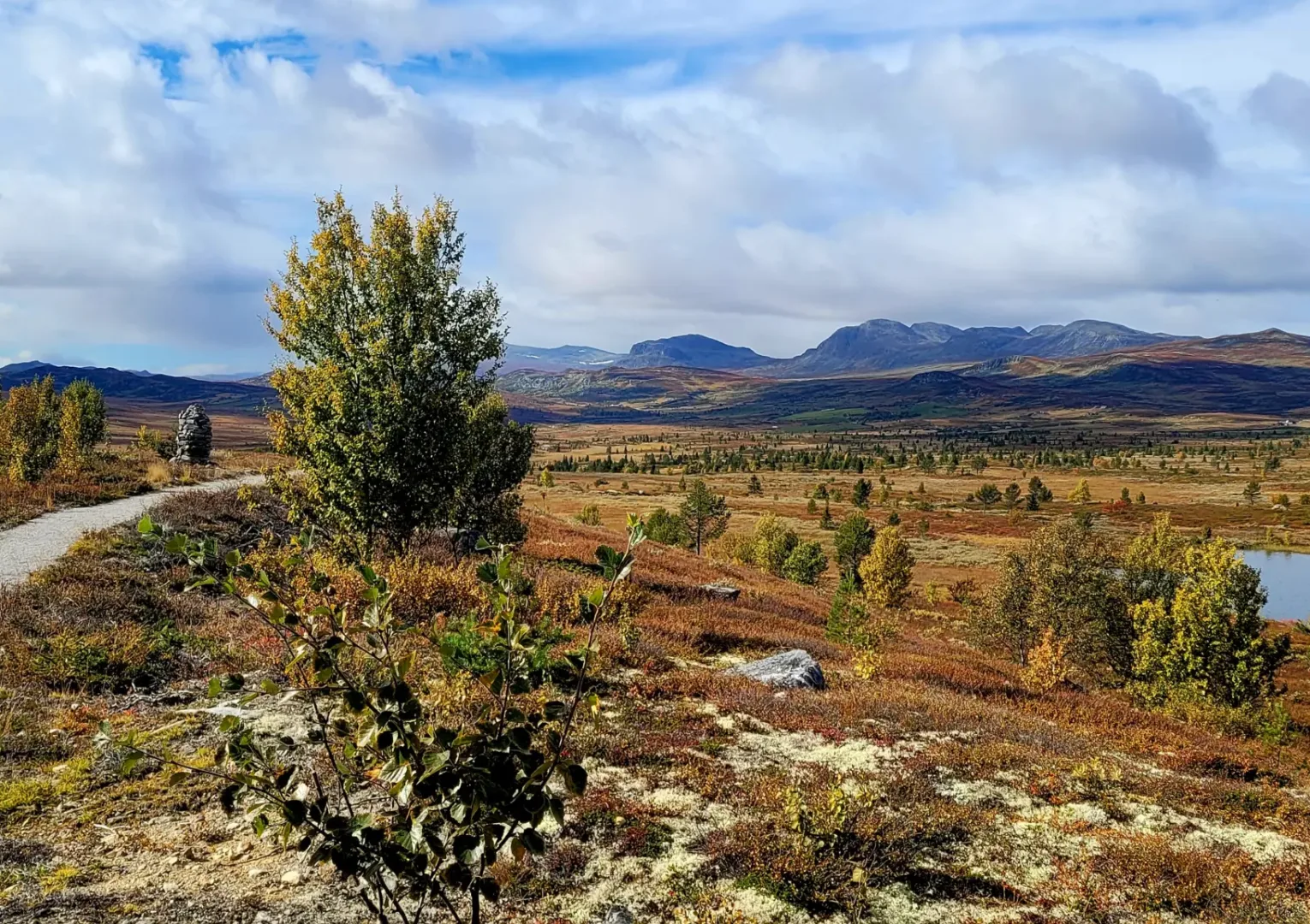 Lyastigen i Ål